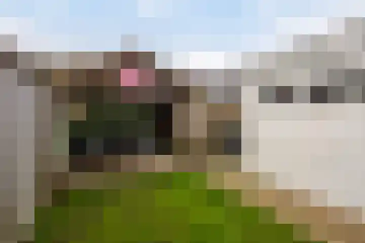 P. de Hooghstraat 7 Hardenberg thumbnail 28