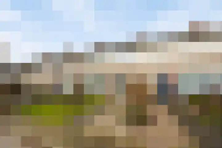 P. de Hooghstraat 7 Hardenberg thumbnail 29