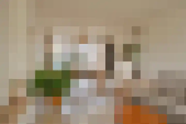 P. de Hooghstraat 7 Hardenberg thumbnail 6