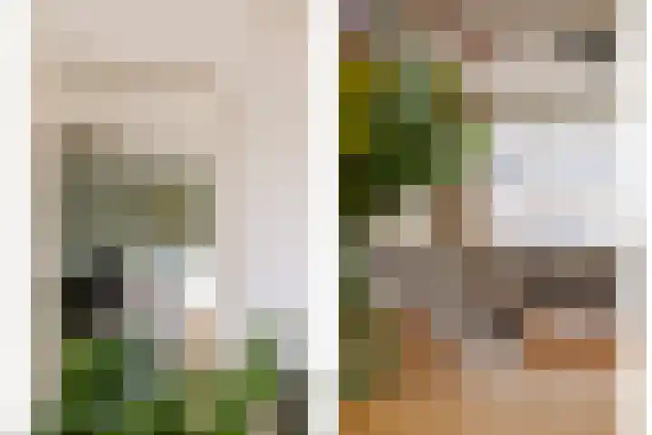 P. de Hooghstraat 7 Hardenberg thumbnail 7