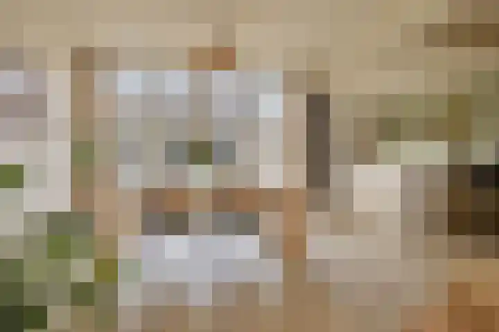 P. de Hooghstraat 7 Hardenberg thumbnail 8