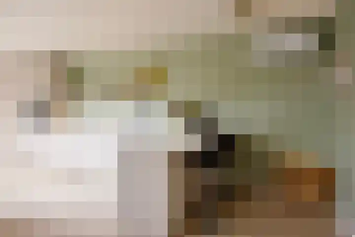 P. de Hooghstraat 7 Hardenberg thumbnail 9