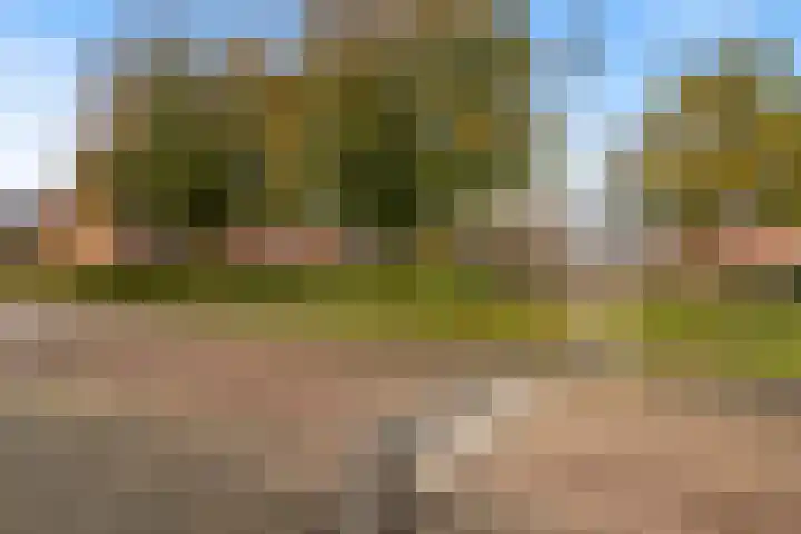 P Dubbeldamstraat 23 Hoogeveen thumbnail 30