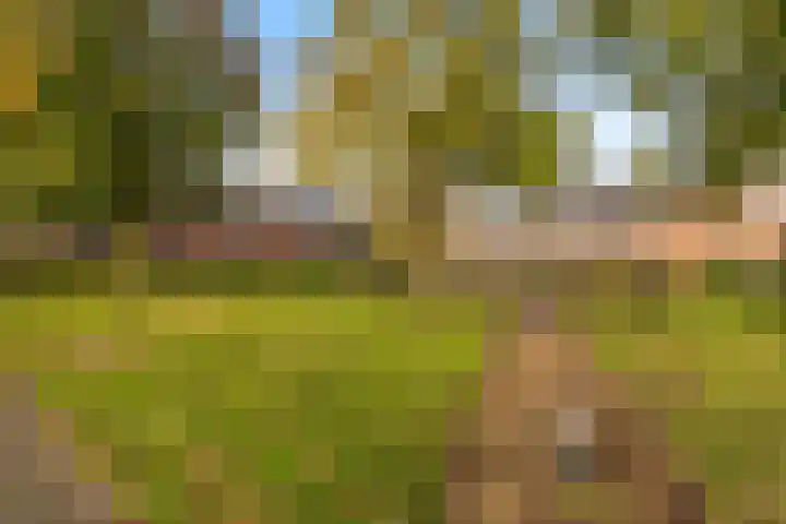 P Dubbeldamstraat 23 Hoogeveen thumbnail 31
