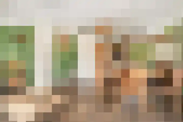 P Dubbeldamstraat 23 Hoogeveen thumbnail 4