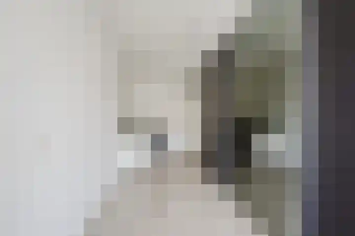 P. Engelvaartstraat 15 Spijkenisse thumbnail 21
