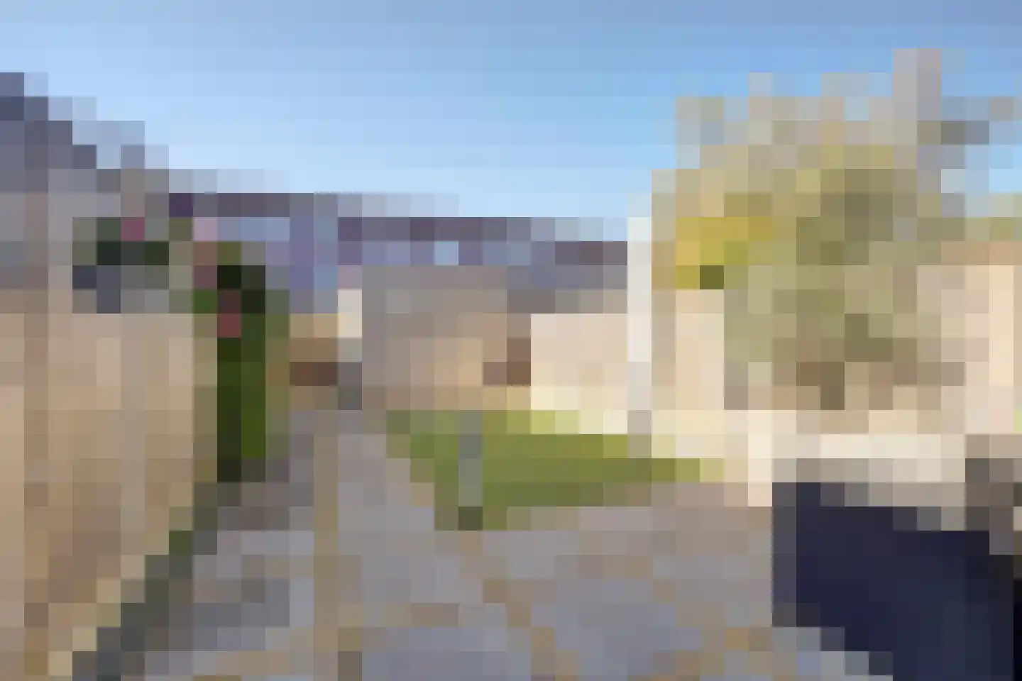P. Engelvaartstraat 9 Spijkenisse thumbnail 10