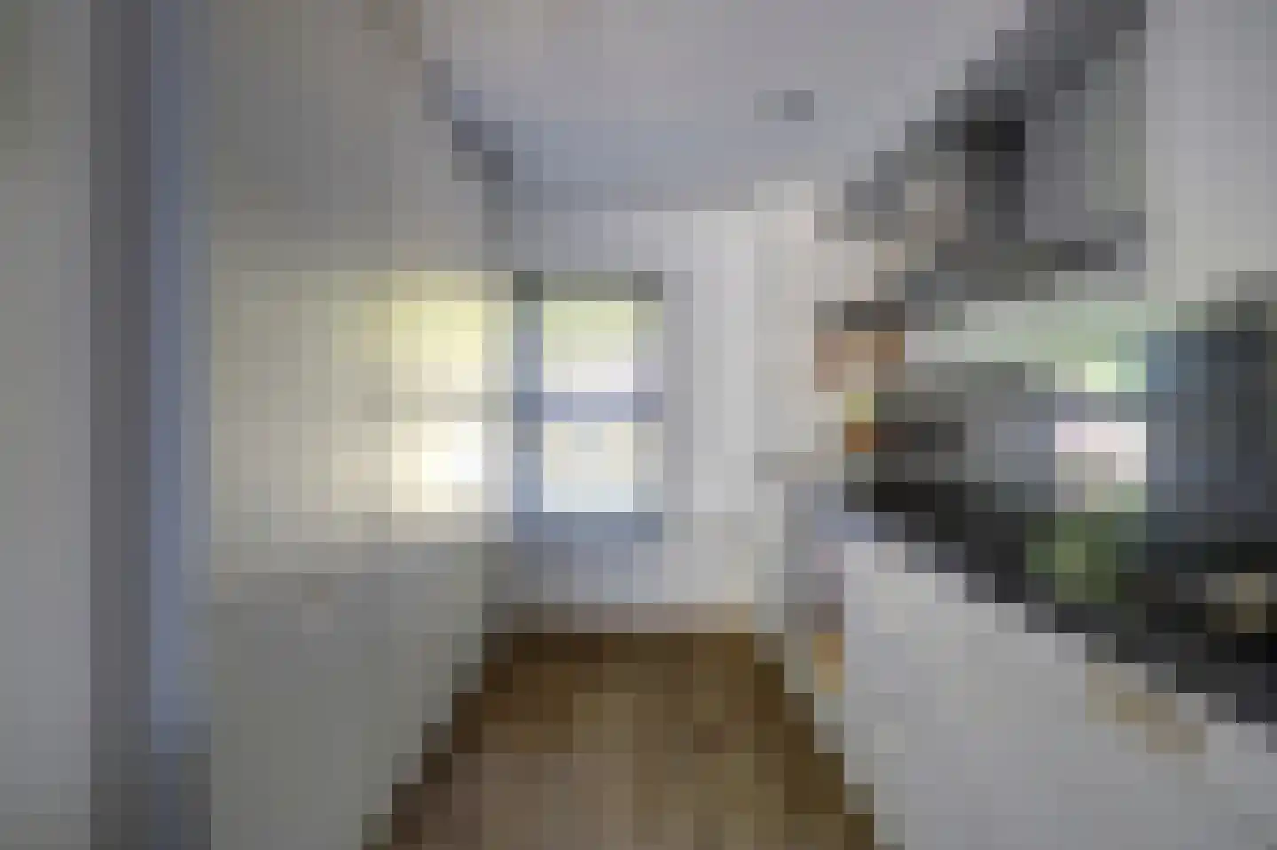 P. Engelvaartstraat 9 Spijkenisse thumbnail 14