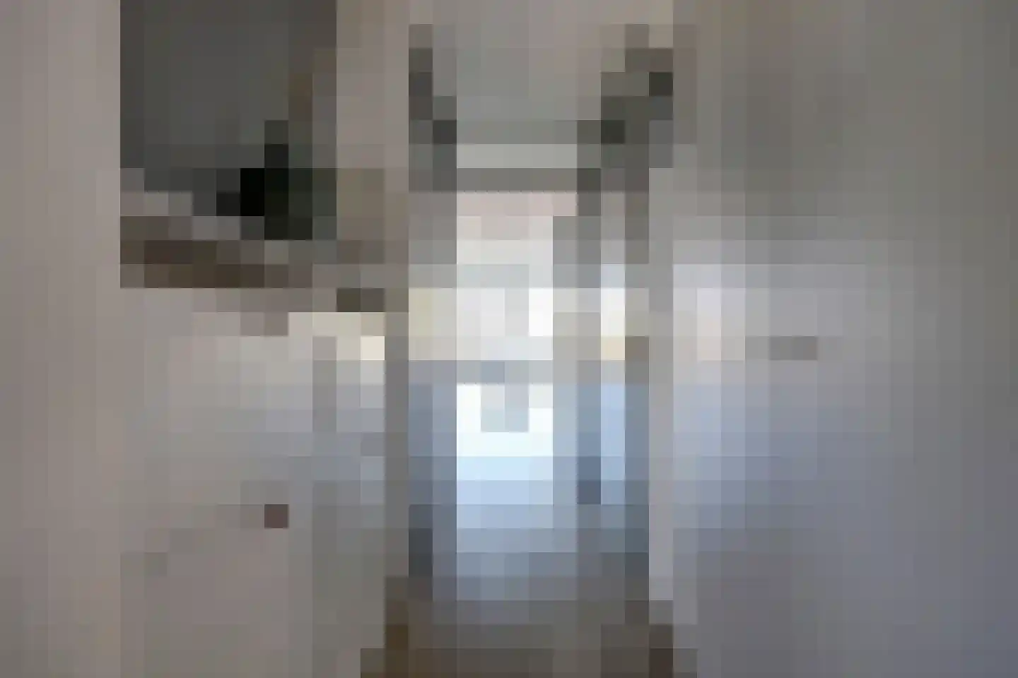 P. Engelvaartstraat 9 Spijkenisse thumbnail 17