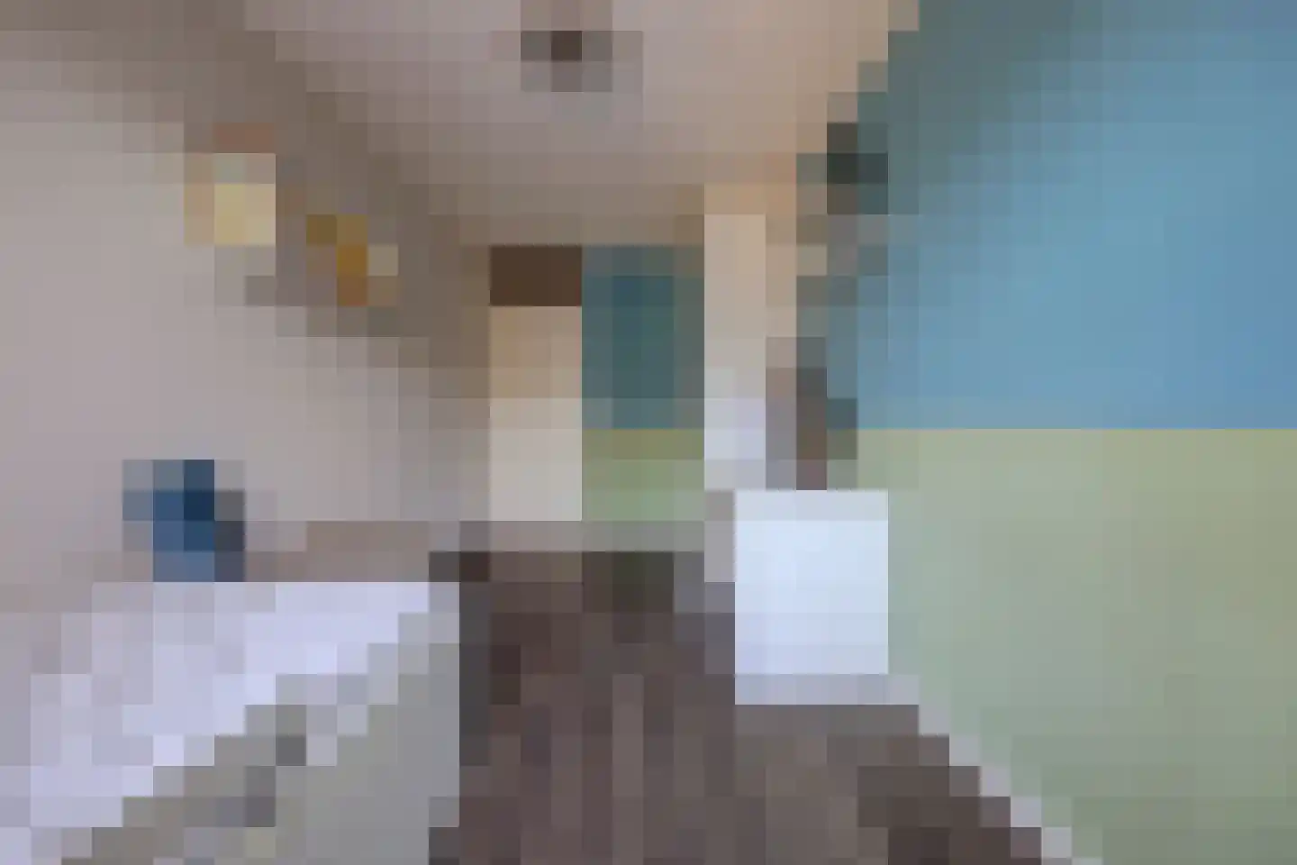 P. Engelvaartstraat 9 Spijkenisse thumbnail 31