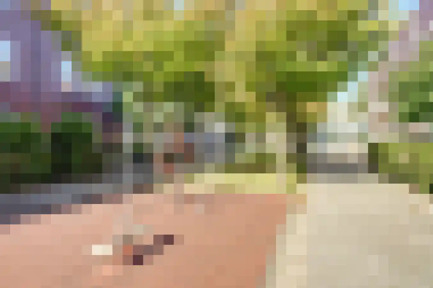 P. Engelvaartstraat 9 Spijkenisse thumbnail 41