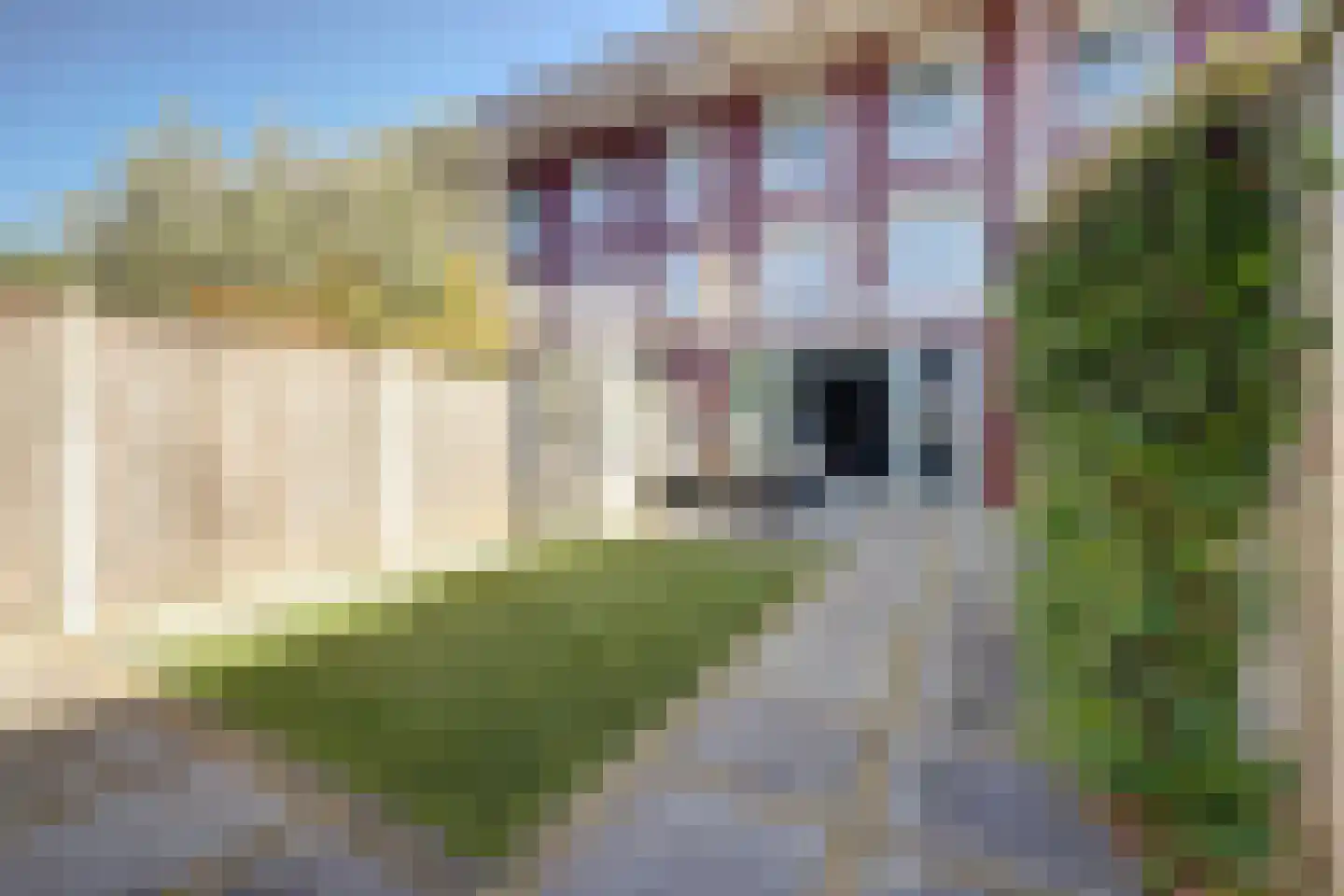 P. Engelvaartstraat 9 Spijkenisse thumbnail 8