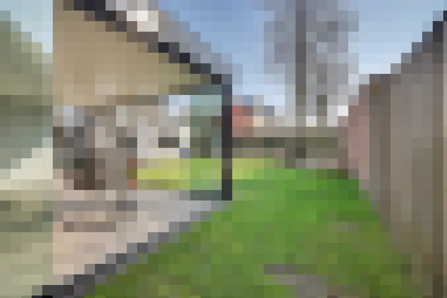 P.G. Ballingslaan 5 Bladel thumbnail 48