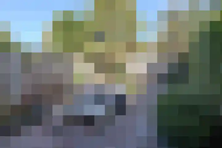 P. Groenenboomstraat 12 Rhoon thumbnail 20