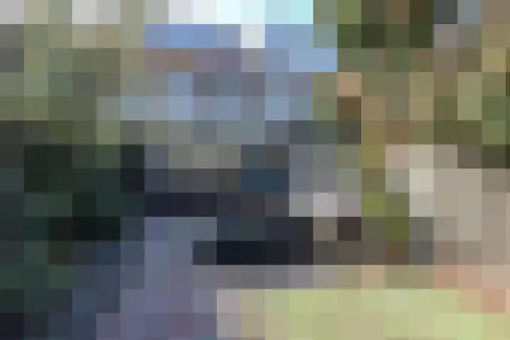 P. Groenenboomstraat 12 Rhoon thumbnail 21