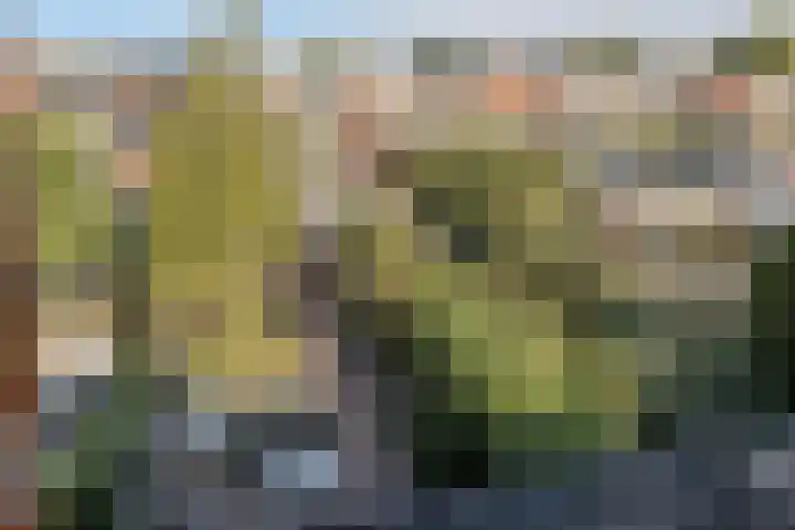 P. Groenenboomstraat 12 Rhoon thumbnail 26
