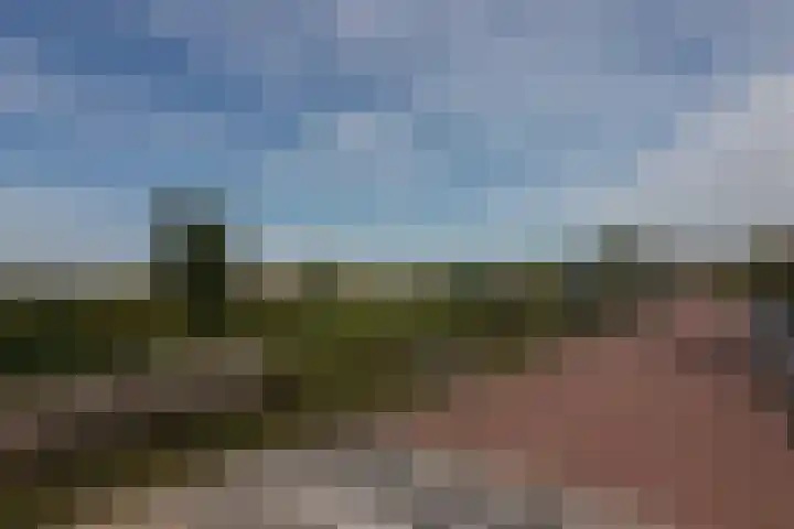 P. Groenenboomstraat 12 Rhoon thumbnail 5