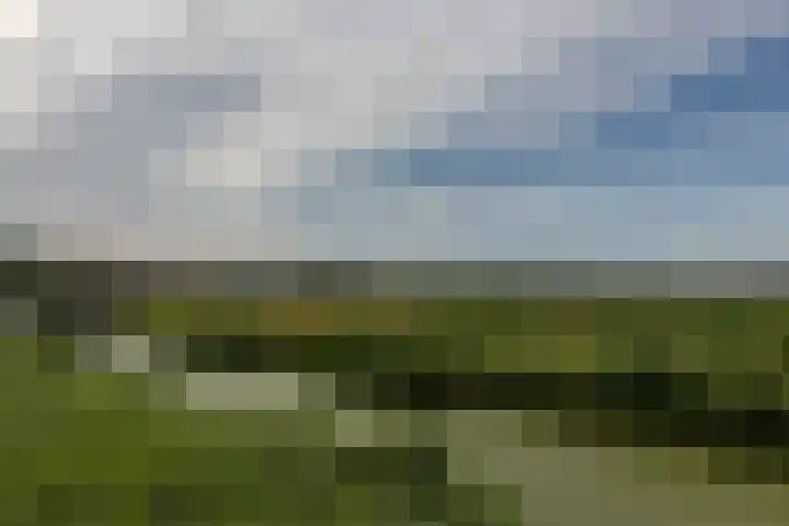 P. Groenenboomstraat 12 Rhoon thumbnail 6