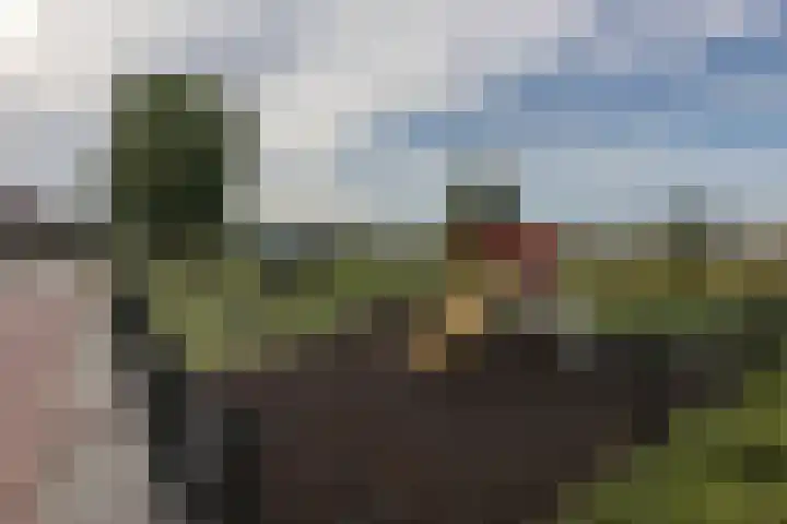 P. Groenenboomstraat 12 Rhoon thumbnail 7