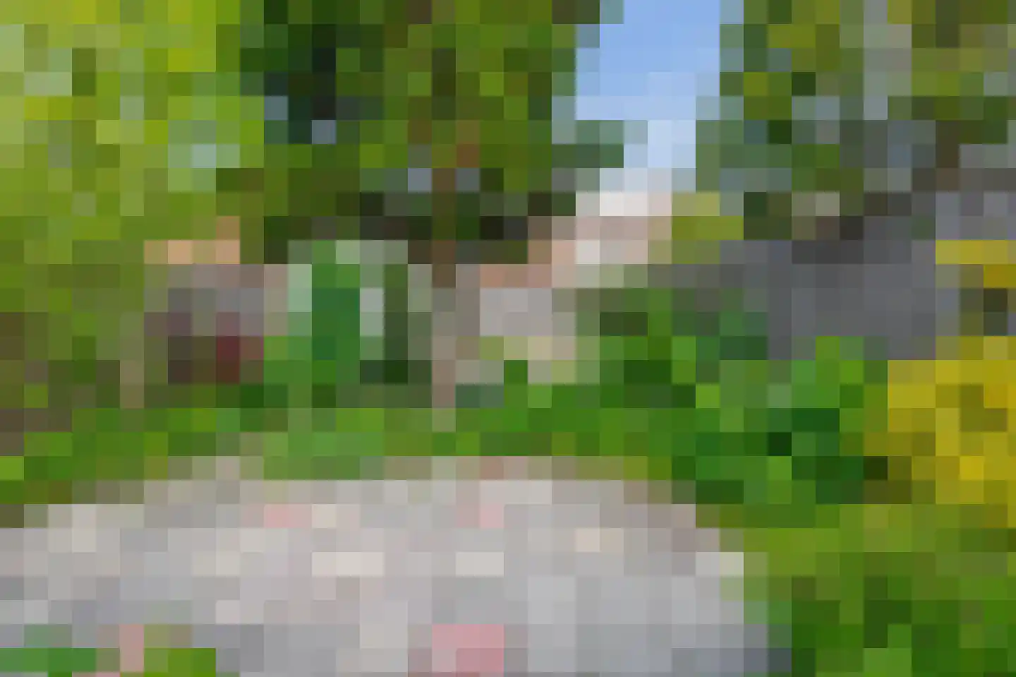 P. Groenenboomstraat 14 Rhoon thumbnail 23