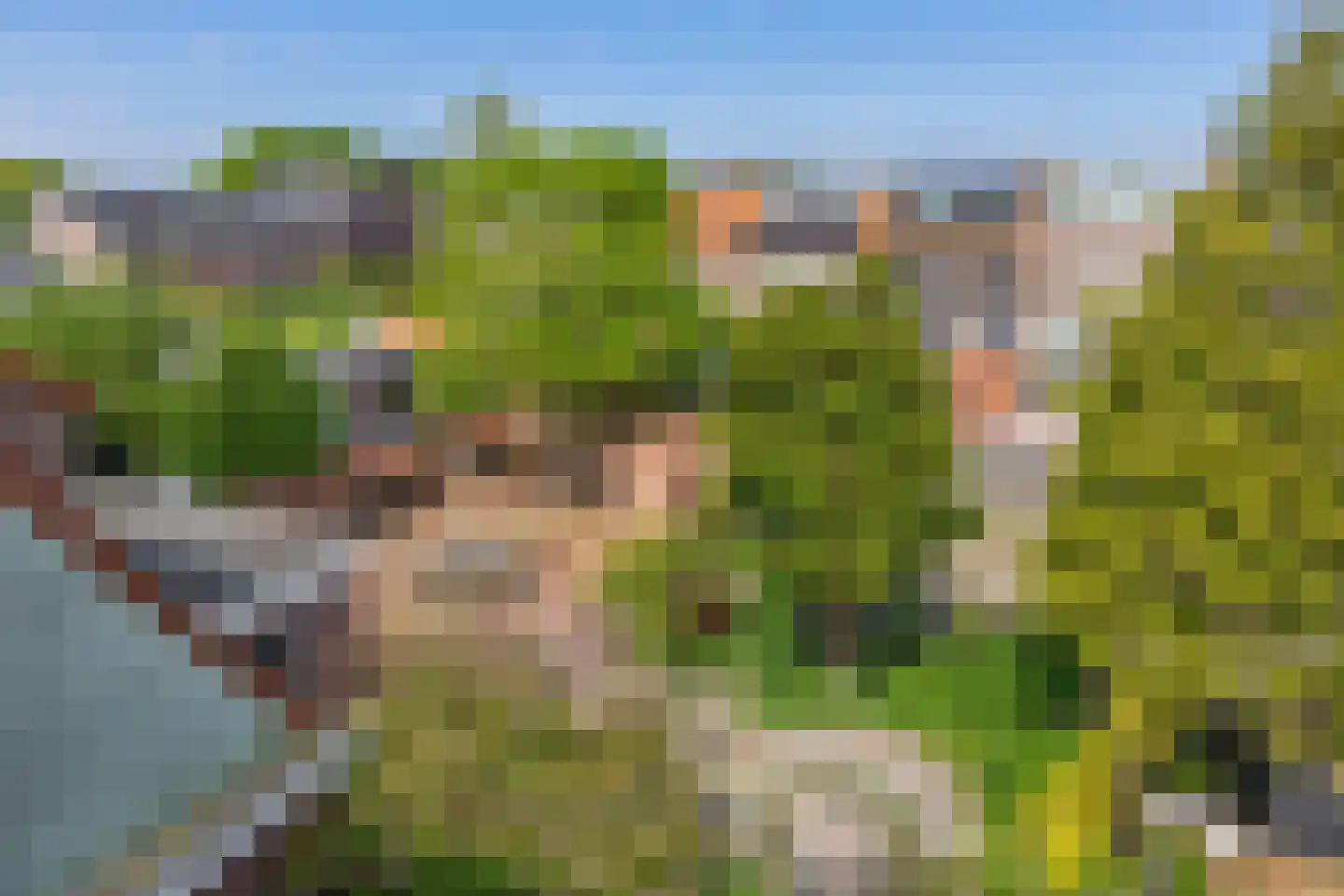 P. Groenenboomstraat 14 Rhoon thumbnail 38