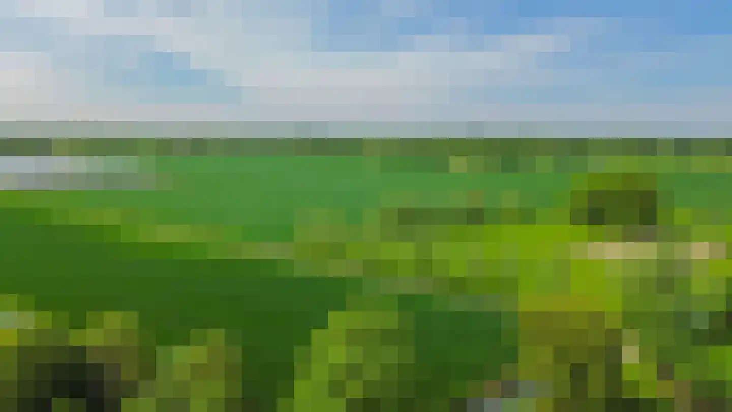 P. Groenenboomstraat 14 Rhoon thumbnail 39