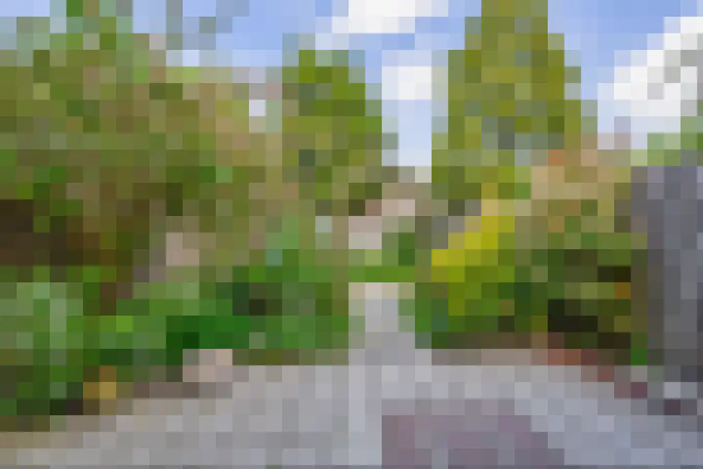 P. Groenenboomstraat 14 Rhoon thumbnail 4