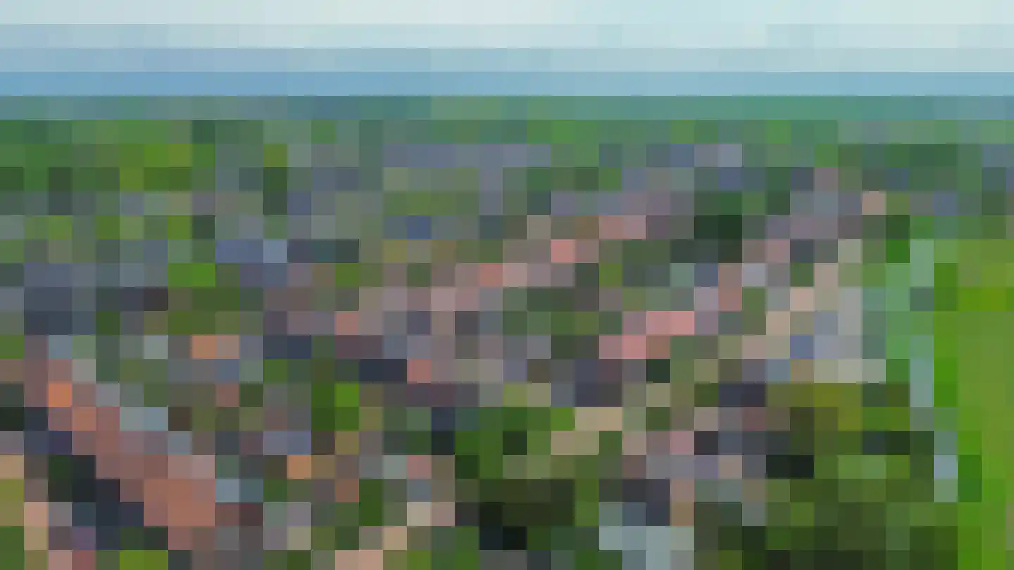 P. Groenenboomstraat 14 Rhoon thumbnail 5
