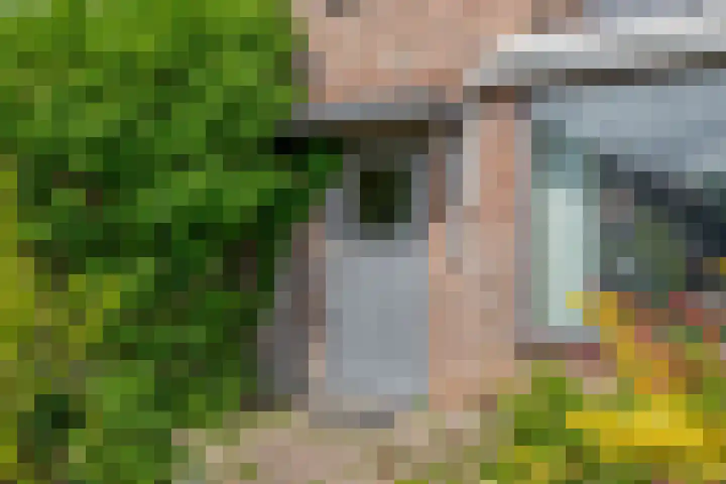 P. Groenenboomstraat 14 Rhoon thumbnail 9