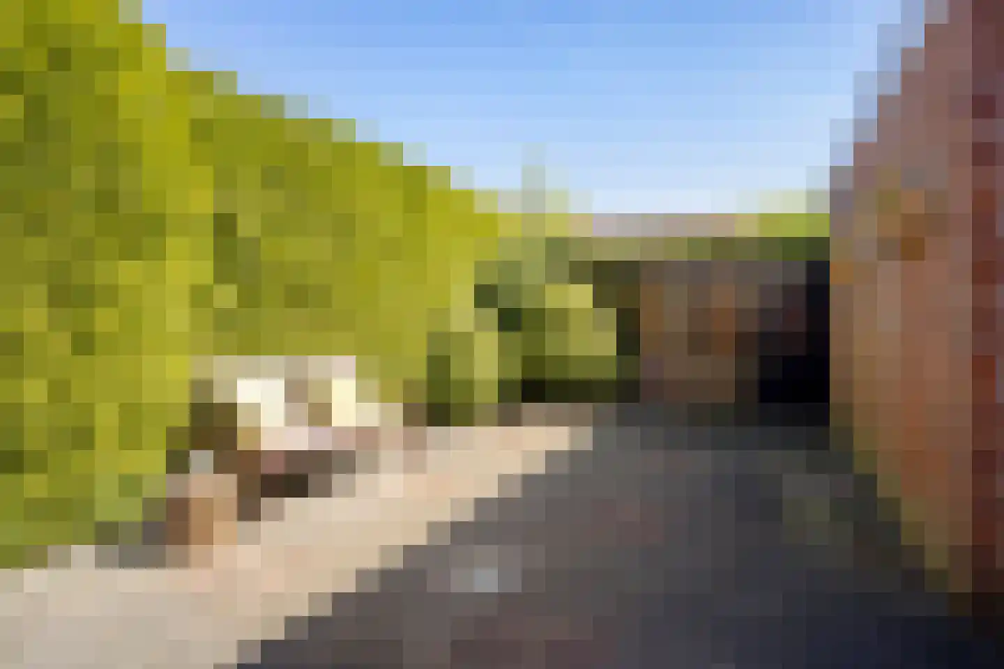 P.H. ter Meulenplantsoen 8 Enschede thumbnail 37