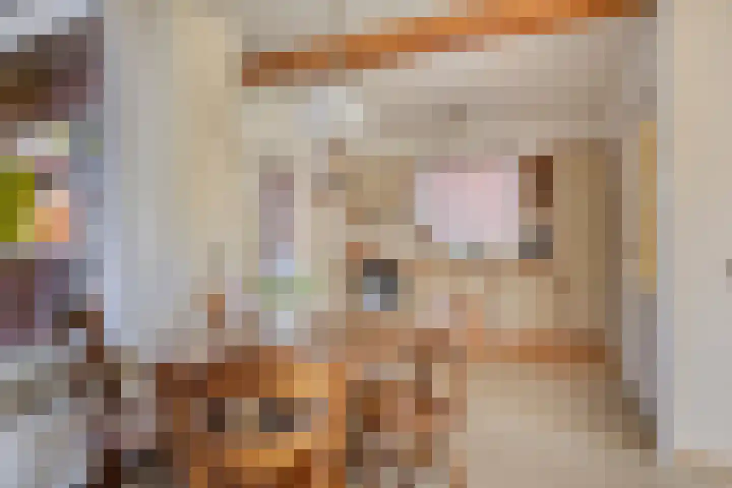 P.H. ter Meulenplantsoen 8 Enschede thumbnail 6