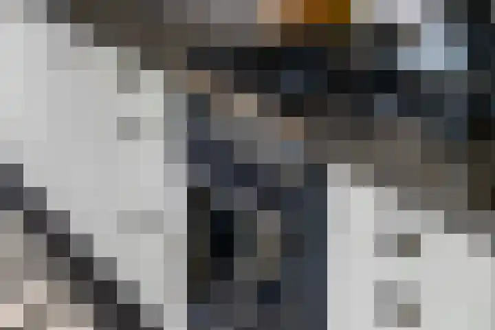 P.H. van Rijnstraat 1 Veenendaal thumbnail 11