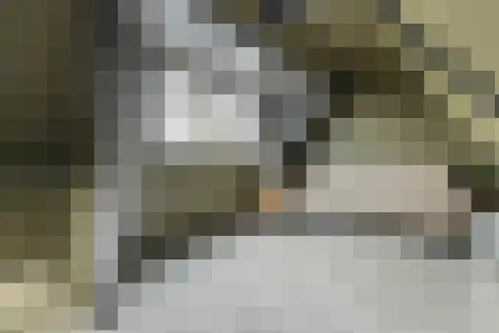 P.H. van Rijnstraat 1 Veenendaal thumbnail 25