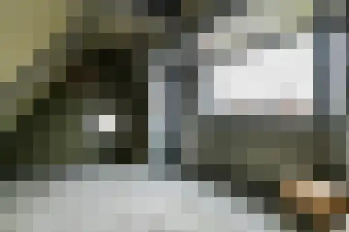 P.H. van Rijnstraat 1 Veenendaal thumbnail 26