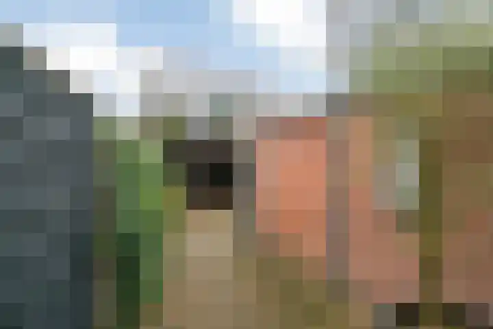 P.H. van Rijnstraat 1 Veenendaal thumbnail 29