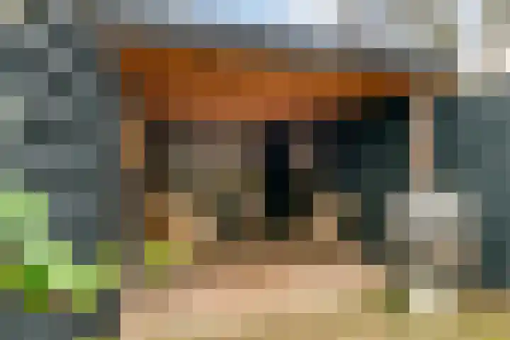 P.H. van Rijnstraat 1 Veenendaal thumbnail 32
