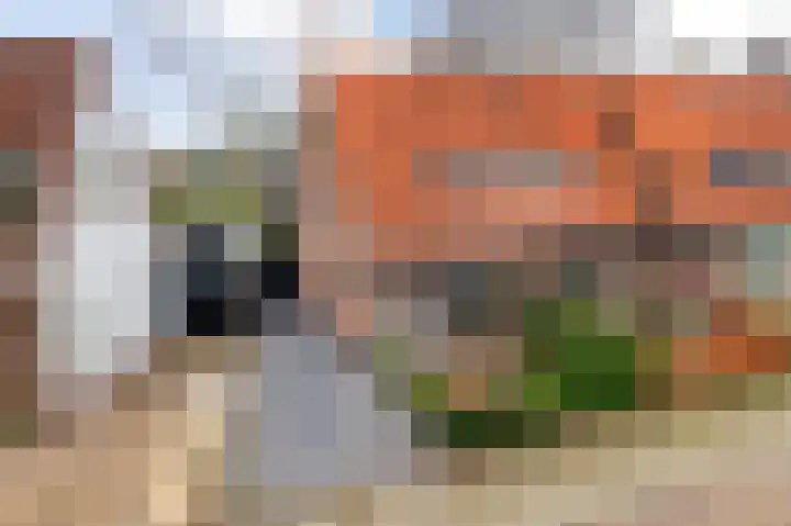 P.H. van Rijnstraat 1 Veenendaal thumbnail 36