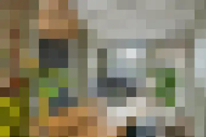 P.H. van Rijnstraat 1 Veenendaal thumbnail 5