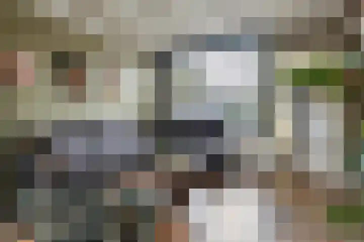 P.H. van Rijnstraat 1 Veenendaal thumbnail 7