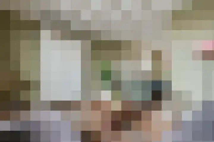 P.H. van Rijnstraat 1 Veenendaal thumbnail 8