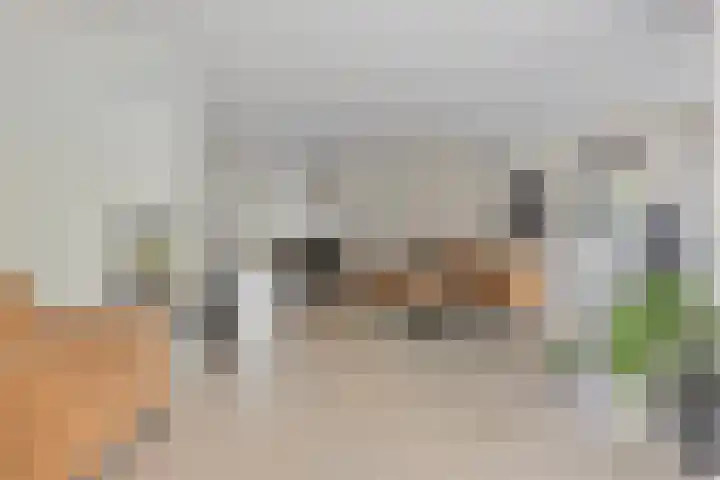 P.H. van Rijnstraat 26 Veenendaal thumbnail 10