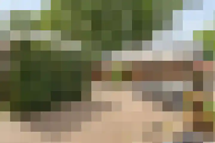 P.H. van Rijnstraat 26 Veenendaal thumbnail 32