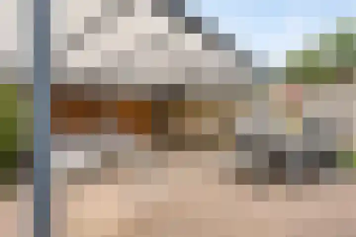 P.H. van Rijnstraat 26 Veenendaal thumbnail 33