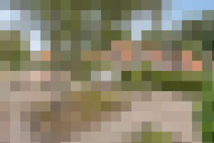 P.H. van Rijnstraat 26 Veenendaal thumbnail 35