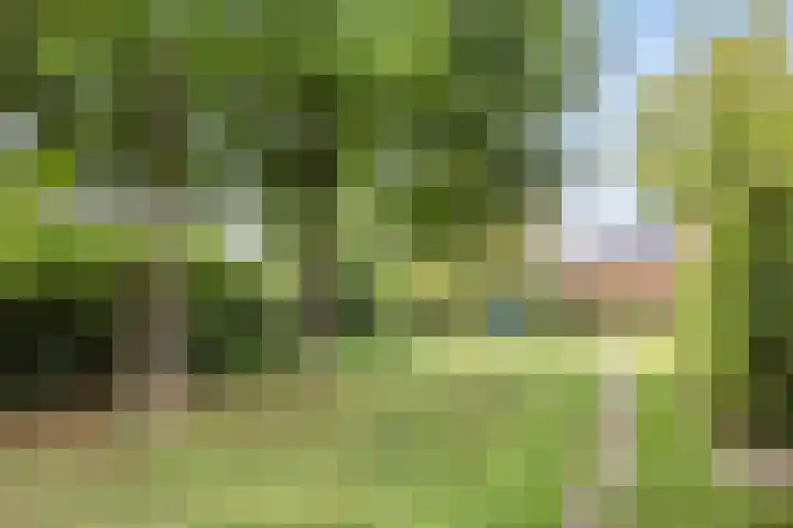 P.H. van Rijnstraat 26 Veenendaal thumbnail 36