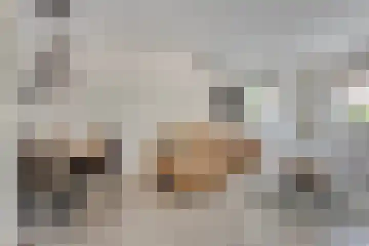 P.H. van Rijnstraat 26 Veenendaal thumbnail 7