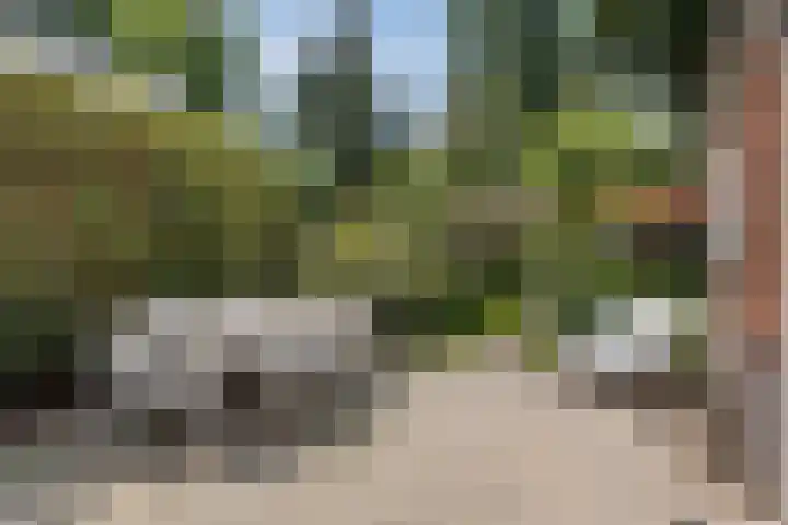 P.H. van Rijnstraat 40 Veenendaal thumbnail 38