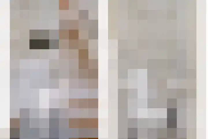 P.H. van Rijnstraat 6 Veenendaal thumbnail 12