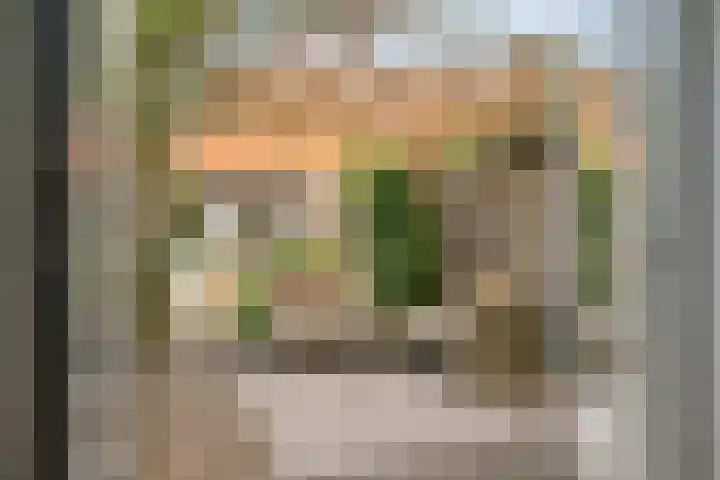P.H. van Rijnstraat 6 Veenendaal thumbnail 23