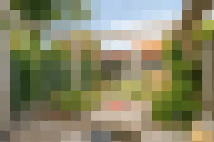 P.H. van Rijnstraat 6 Veenendaal thumbnail 24